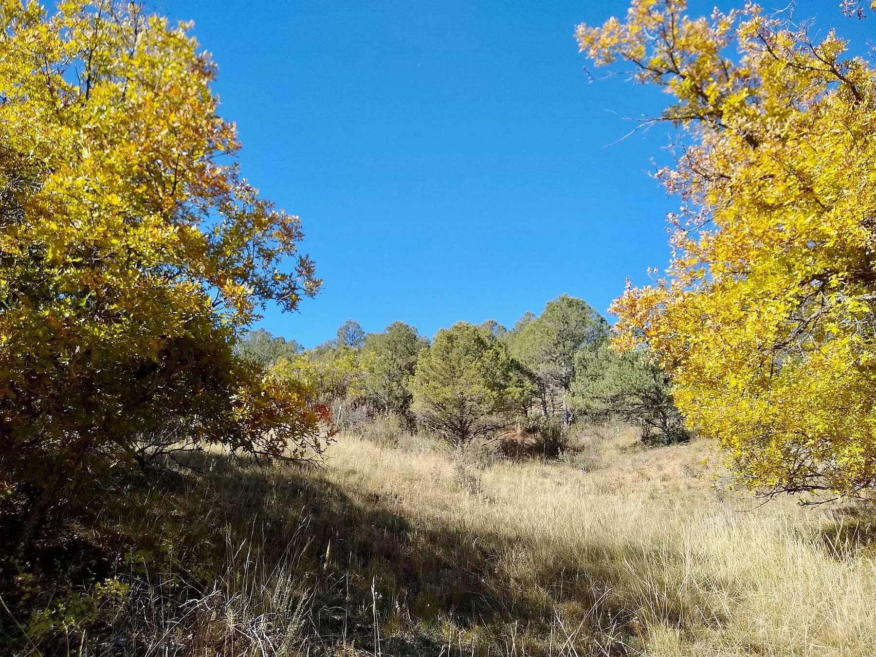 35 Acres of Recreational Land & Farm for Sale in Cañon City, Colorado