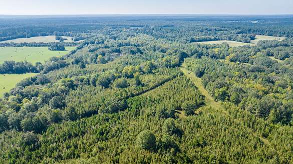 184 Acres of Recreational Land for Sale in McCaskill, Arkansas