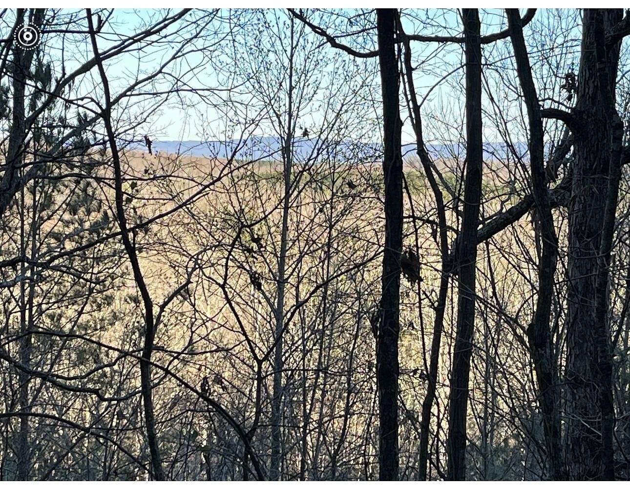 109 Acres of Recreational & Residential Land for Sale in Calhoun, Tennessee