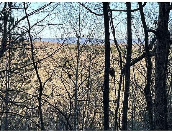 109 Acres of Recreational & Residential Land for Sale in Calhoun, Tennessee