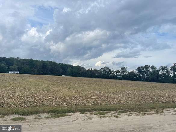7.9 Acres of Agricultural Land for Sale in Millsboro, Delaware