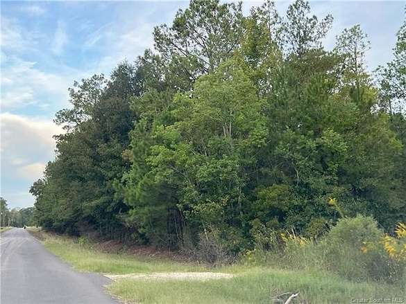 22.3 Acres of Agricultural Land for Sale in DeQuincy, Louisiana