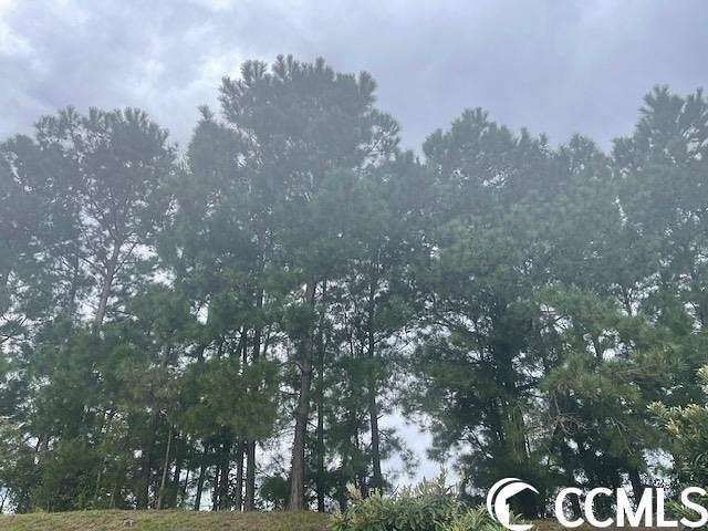 1.6 Acres of Residential Land for Sale in Longs, South Carolina