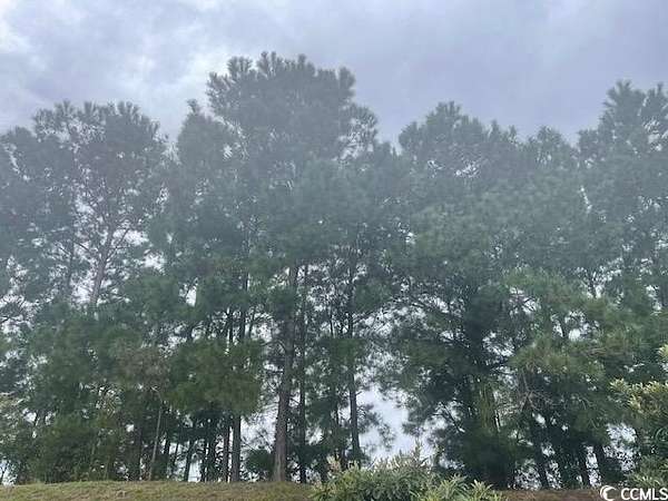 1.55 Acres of Residential Land for Sale in Longs, South Carolina