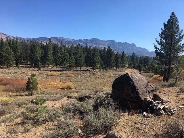 9.6 Acres of Land for Sale in Chilcoot, California