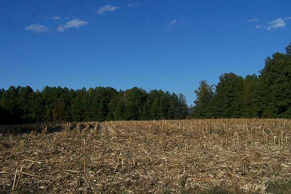 37 Acres of Land for Sale in Chase City, Virginia