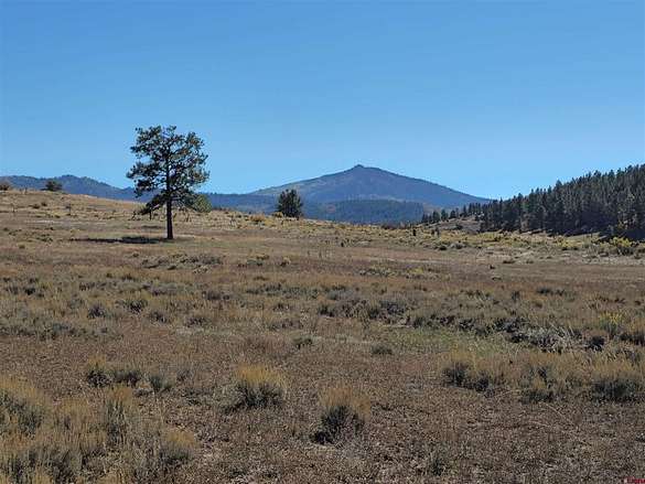 21 Acres of Land for Sale in Chromo, Colorado