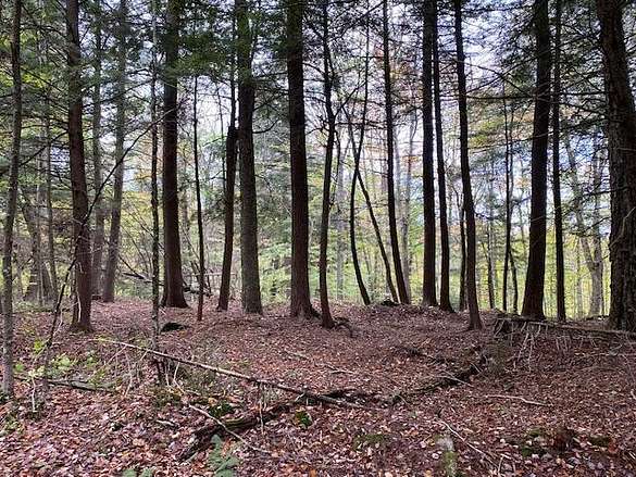 13.6 Acres of Land for Sale in Raquette Lake, New York