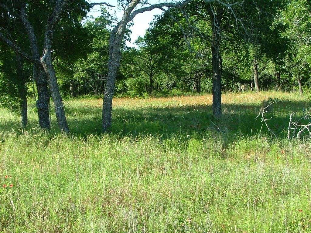 1 Acre of Land for Sale in Chico, Texas