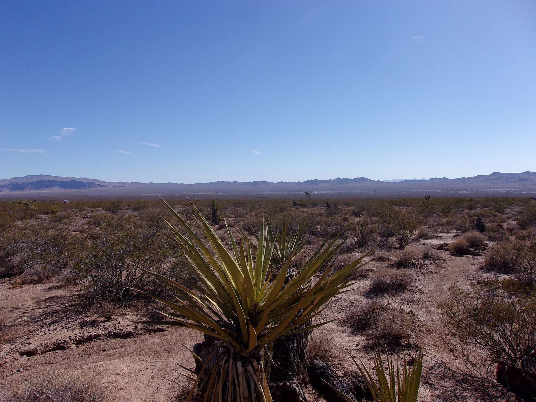 1 Acre of Residential Land for Sale in White Hills, Arizona