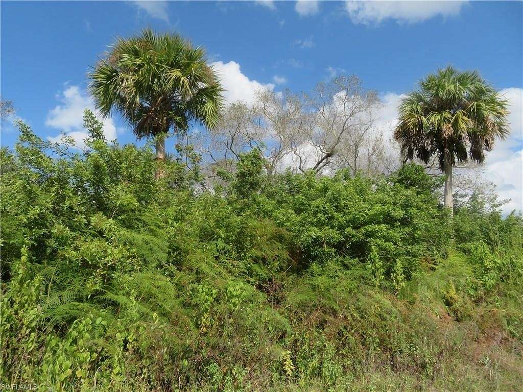 6.7 Acres of Residential Land for Sale in Naples, Florida