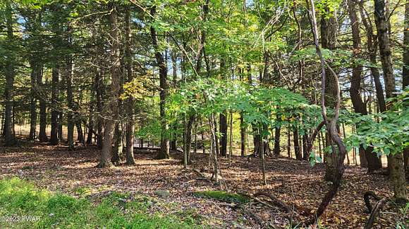 1.1 Acres of Residential Land for Sale in Lake Ariel, Pennsylvania