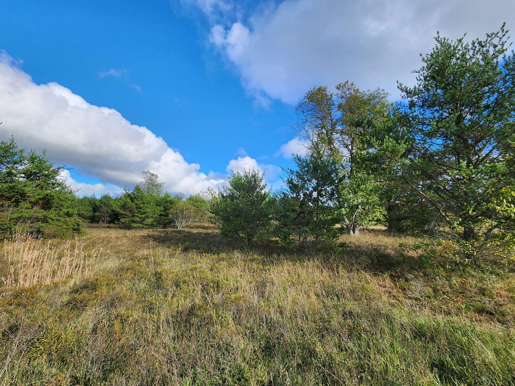 30 Acres of Land for Sale in Lewiston, Michigan