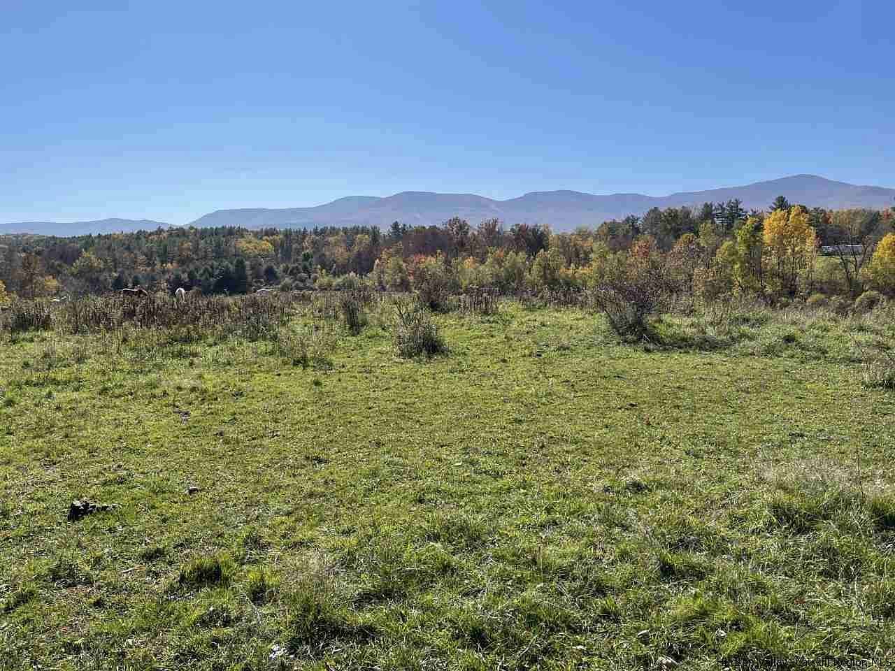 78.2 Acres of Land for Sale in East Durham, New York
