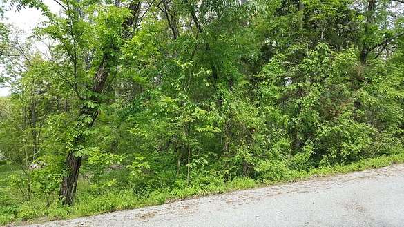 0.25 Acres of Residential Land for Sale in Hollister, Missouri