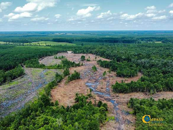 517 Acres of Recreational Land for Sale in Orrum, North Carolina