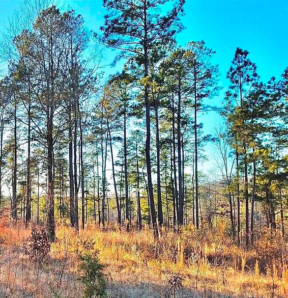 296 Acres of Recreational Land for Sale in Appling, LandSearch