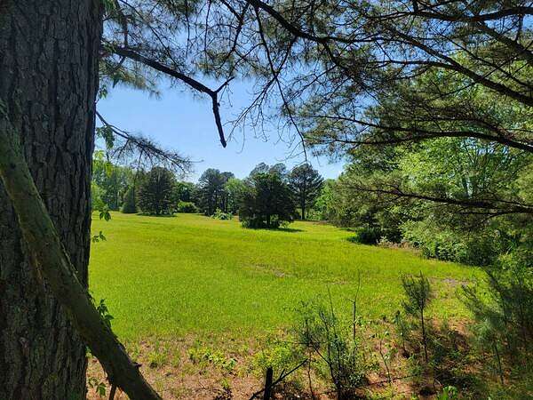 25 Acres of Land for Sale in Hartman, Arkansas