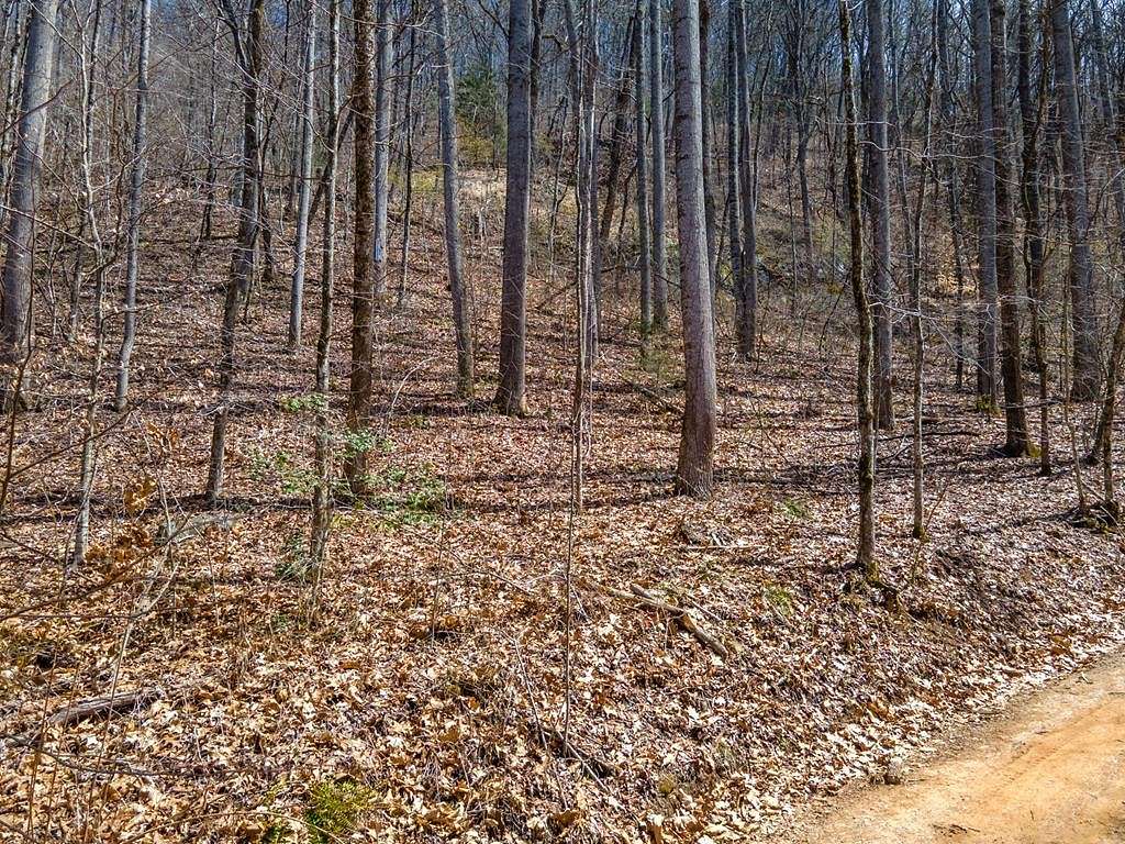 1.5 Acres of Residential Land for Sale in Millshoal Township, North Carolina