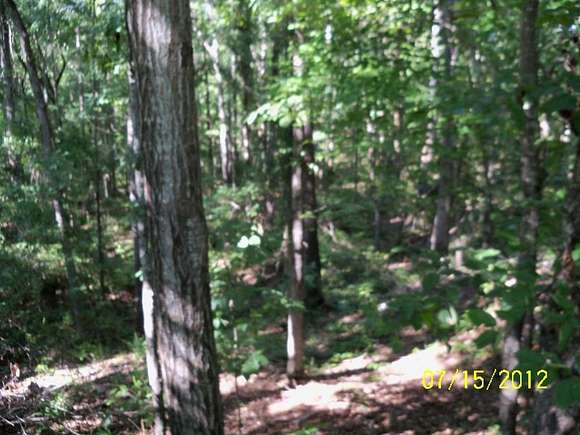 Land for Sale in Buena Vista, Georgia