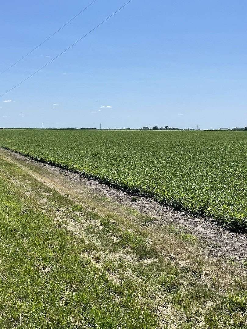 200 Acres of Land for Sale in Wilmington, Illinois