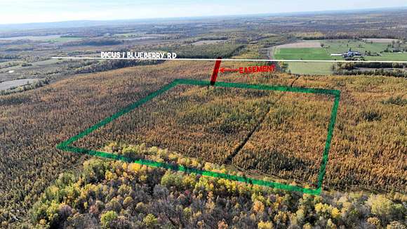 40 Acres of Land for Sale in Ladysmith, Wisconsin