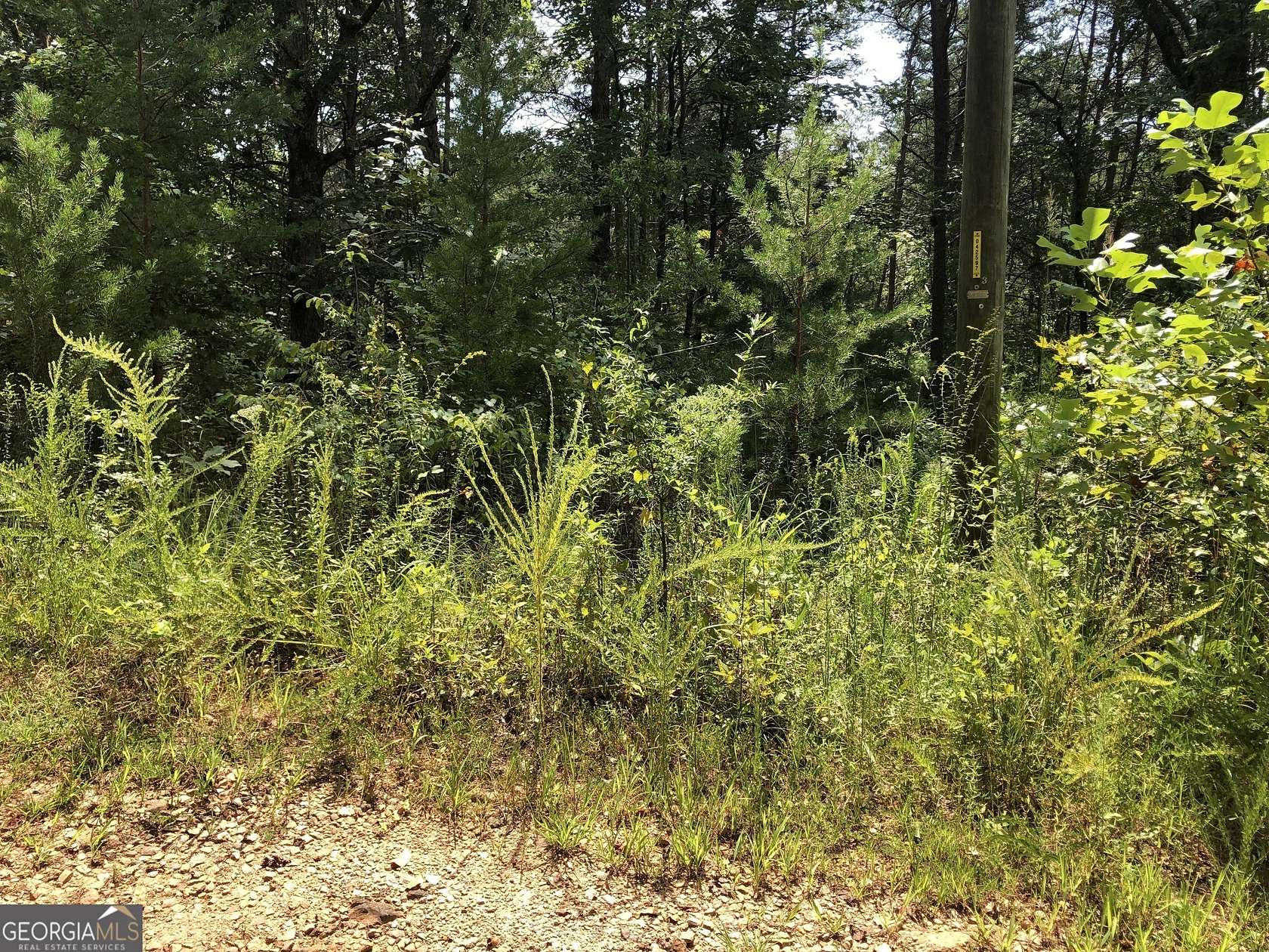 1.6 Acres of Residential Land for Sale in Demorest, Georgia