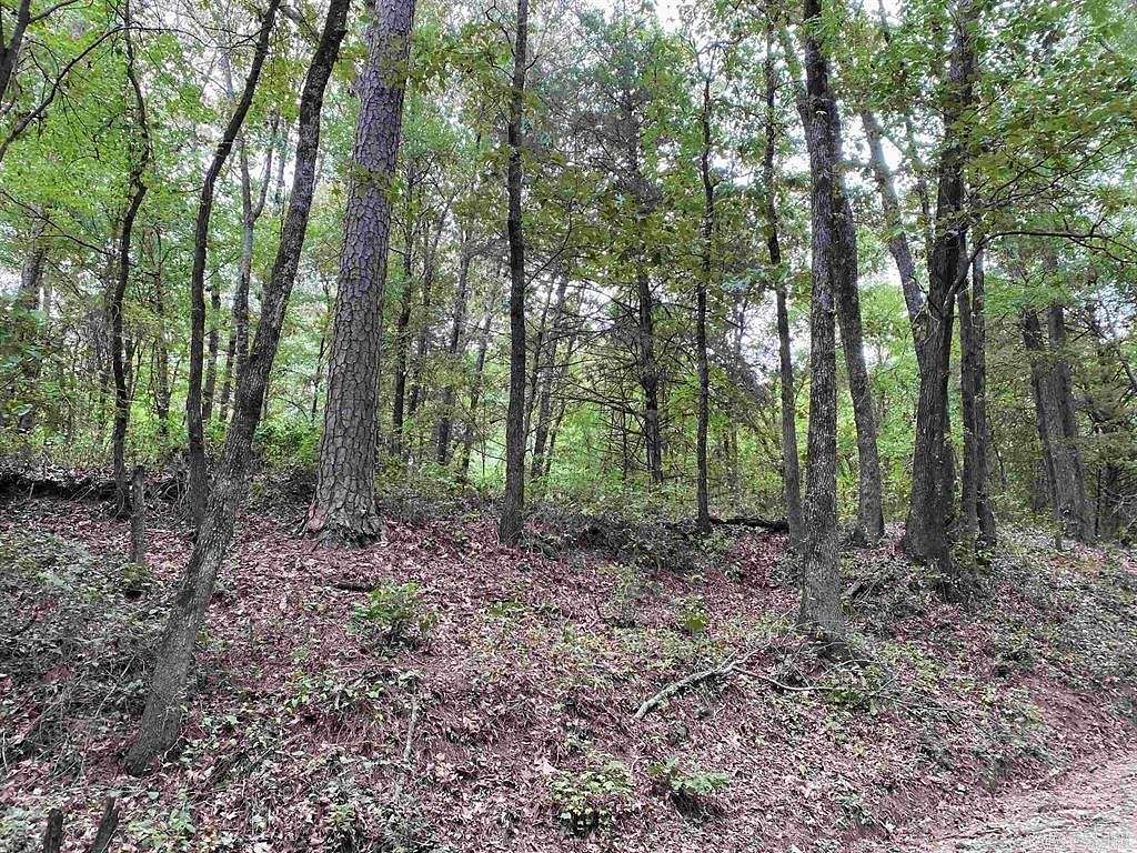 5 Acres of Residential Land for Sale in Atkins, Arkansas