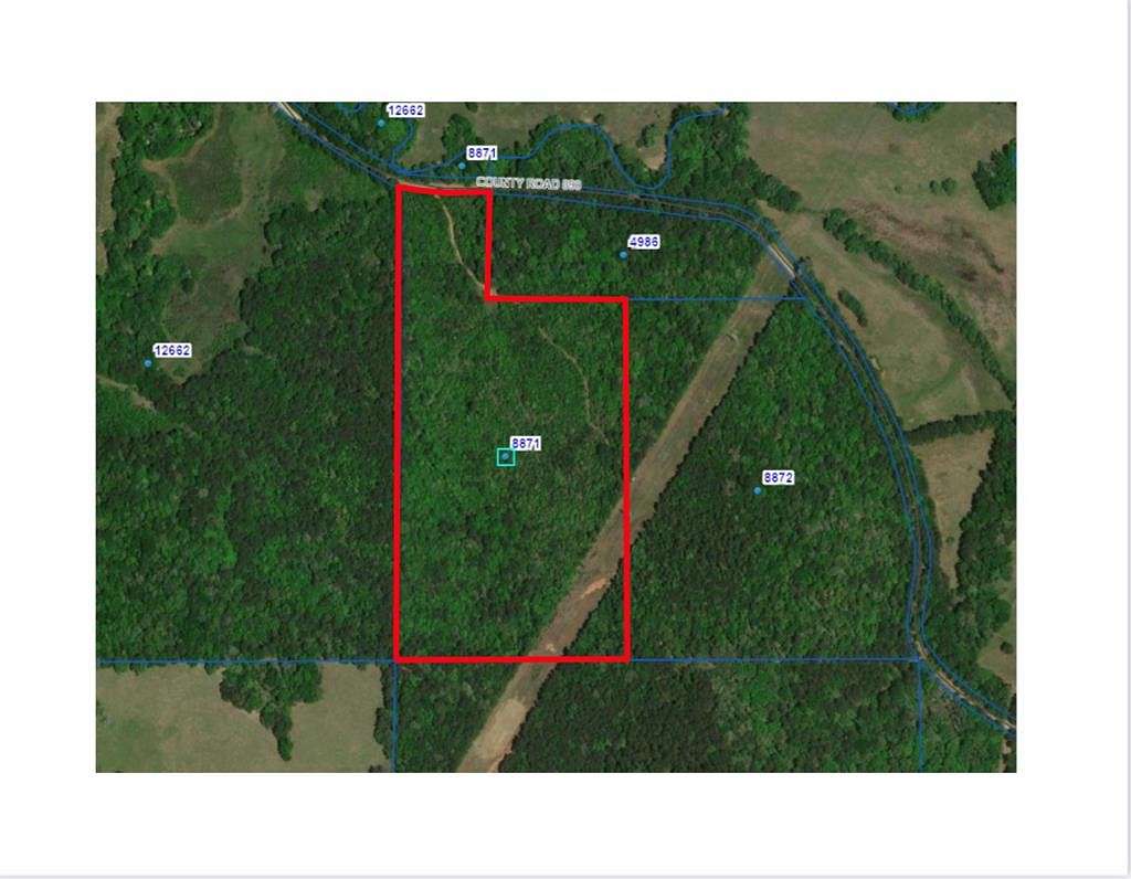 26 Acres of Recreational Land for Sale in Cushing, Texas