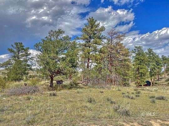 5.49 Acres of Residential Land for Sale in Texas Creek, Colorado