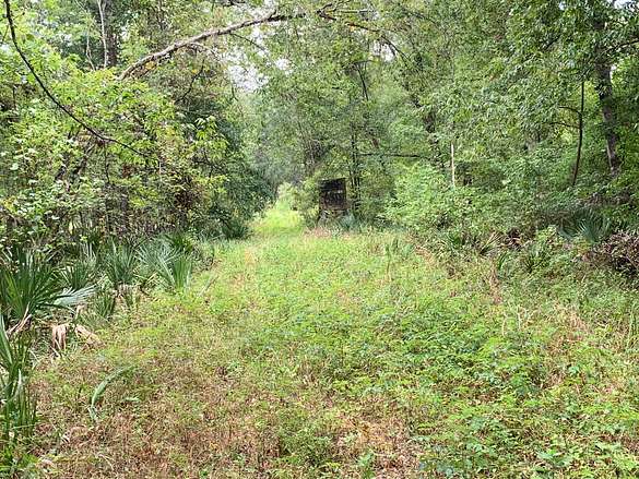 50 Acres of Recreational Land for Sale in St. Joseph, Louisiana
