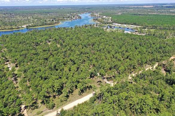 25.5 Acres of Recreational Land for Sale in Donalsonville, Georgia