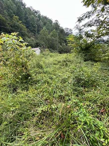 15 Acres of Recreational Land for Sale in Prestonsburg, Kentucky