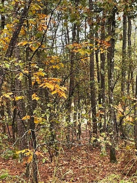0.94 Acres of Land for Sale in Broken Bow, Oklahoma