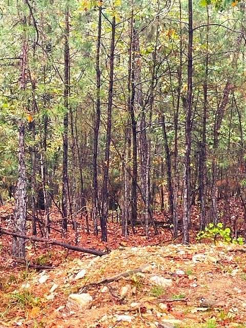 0.99 Acres of Residential Land for Sale in Broken Bow, Oklahoma