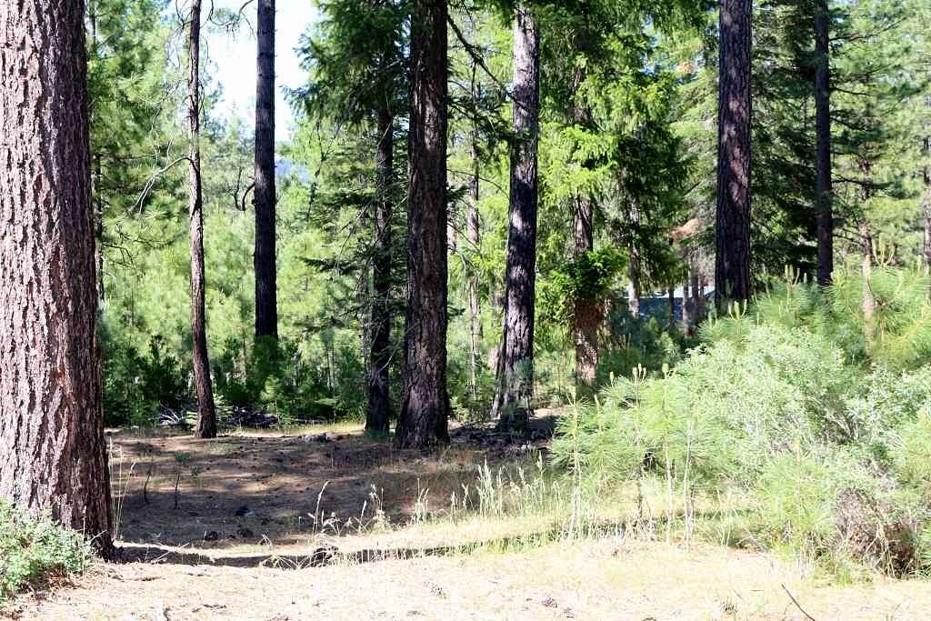 0.51 Acres of Residential Land for Sale in Graeagle, California