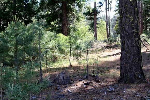 0.51 Acres of Residential Land for Sale in Graeagle, California