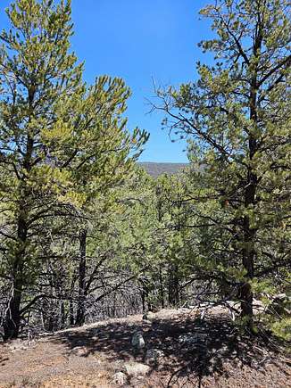 49.9 Acres of Recreational Land for Sale in Cuba, New Mexico