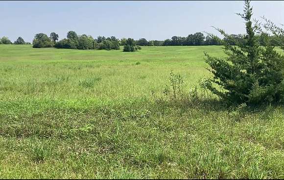 40 Acres of Recreational Land & Farm for Sale in Pattonsburg, Missouri