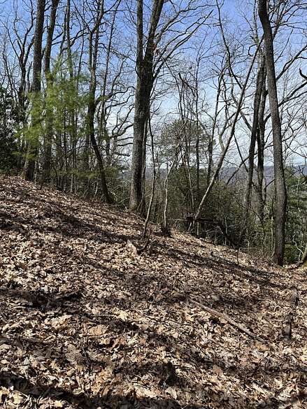 1.4 Acres of Residential Land for Sale in Mountain City, Tennessee
