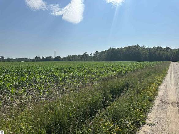 53.6 Acres of Agricultural Land for Sale in Marion, Michigan