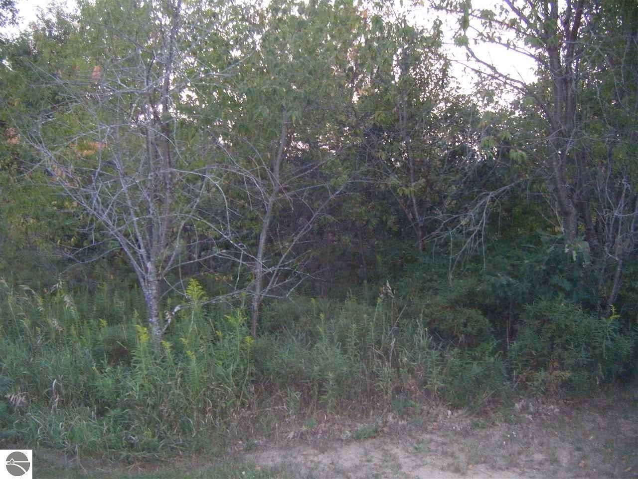 0.5 Acres of Residential Land for Sale in Cadillac, Michigan