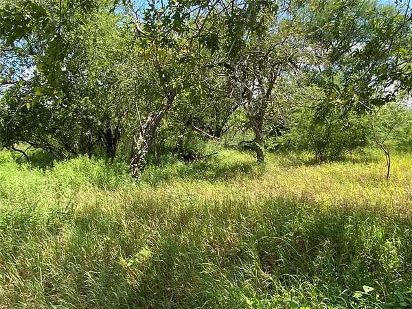 84.2 Acres of Agricultural Land for Sale in Sinton, Texas