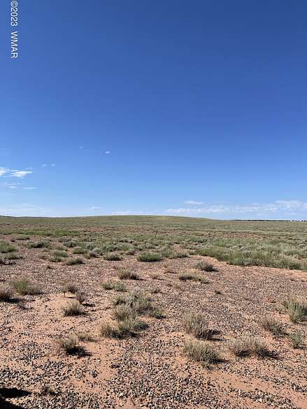 40.6 Acres of Agricultural Land for Sale in Snowflake, Arizona