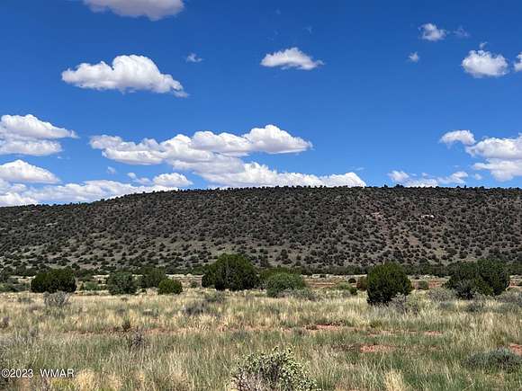 3.54 Acres of Residential Land for Sale in Snowflake, Arizona