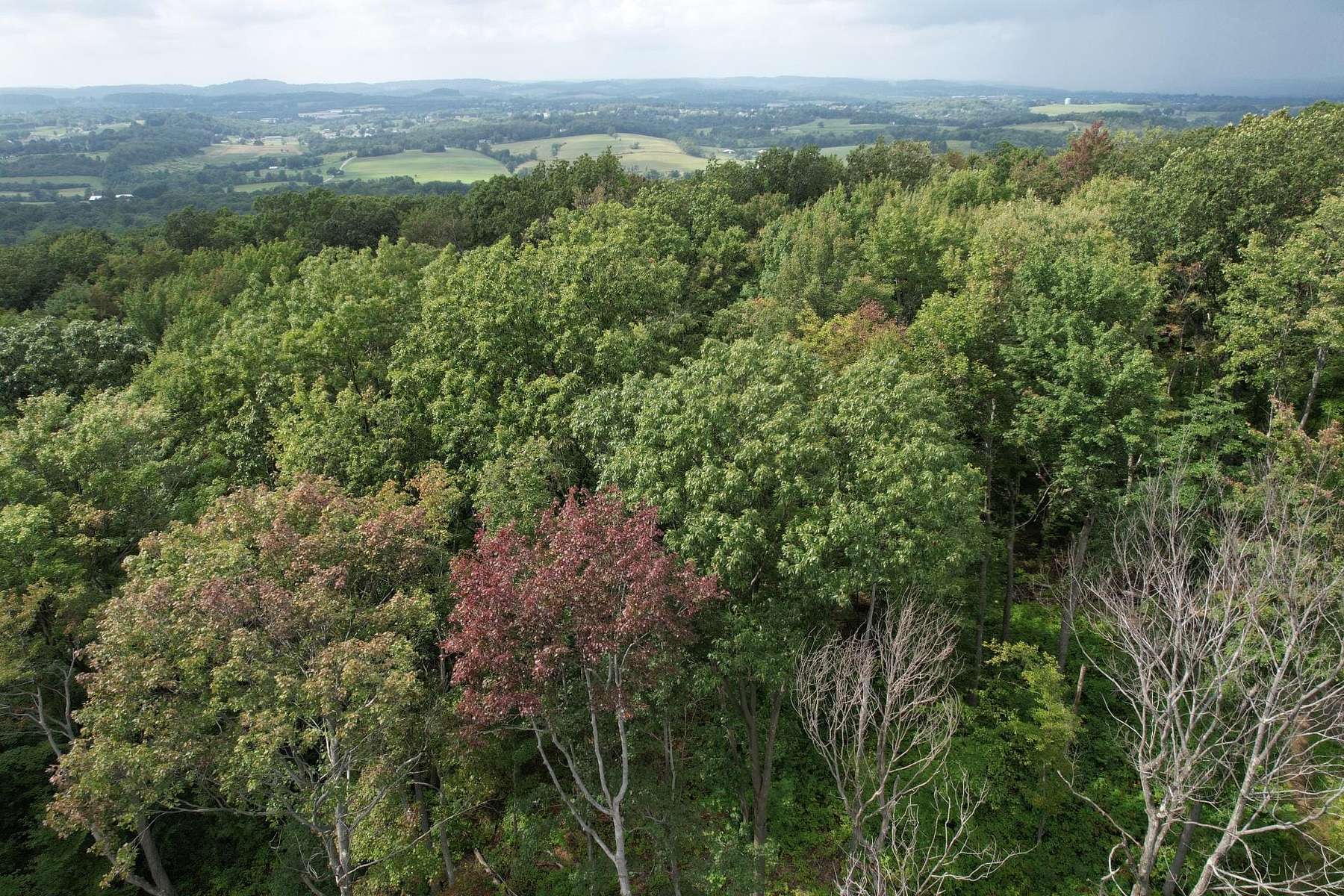 47.9 Acres of Recreational Land for Sale in Latrobe, Pennsylvania