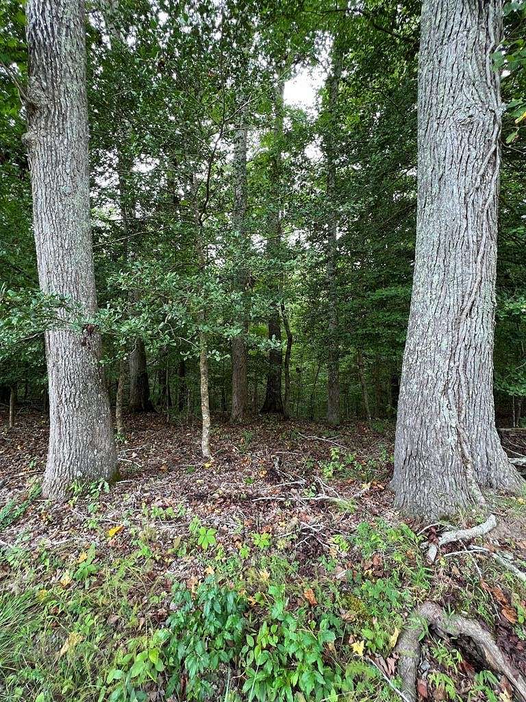 1.9 Acres of Residential Land for Sale in Lancaster, Virginia