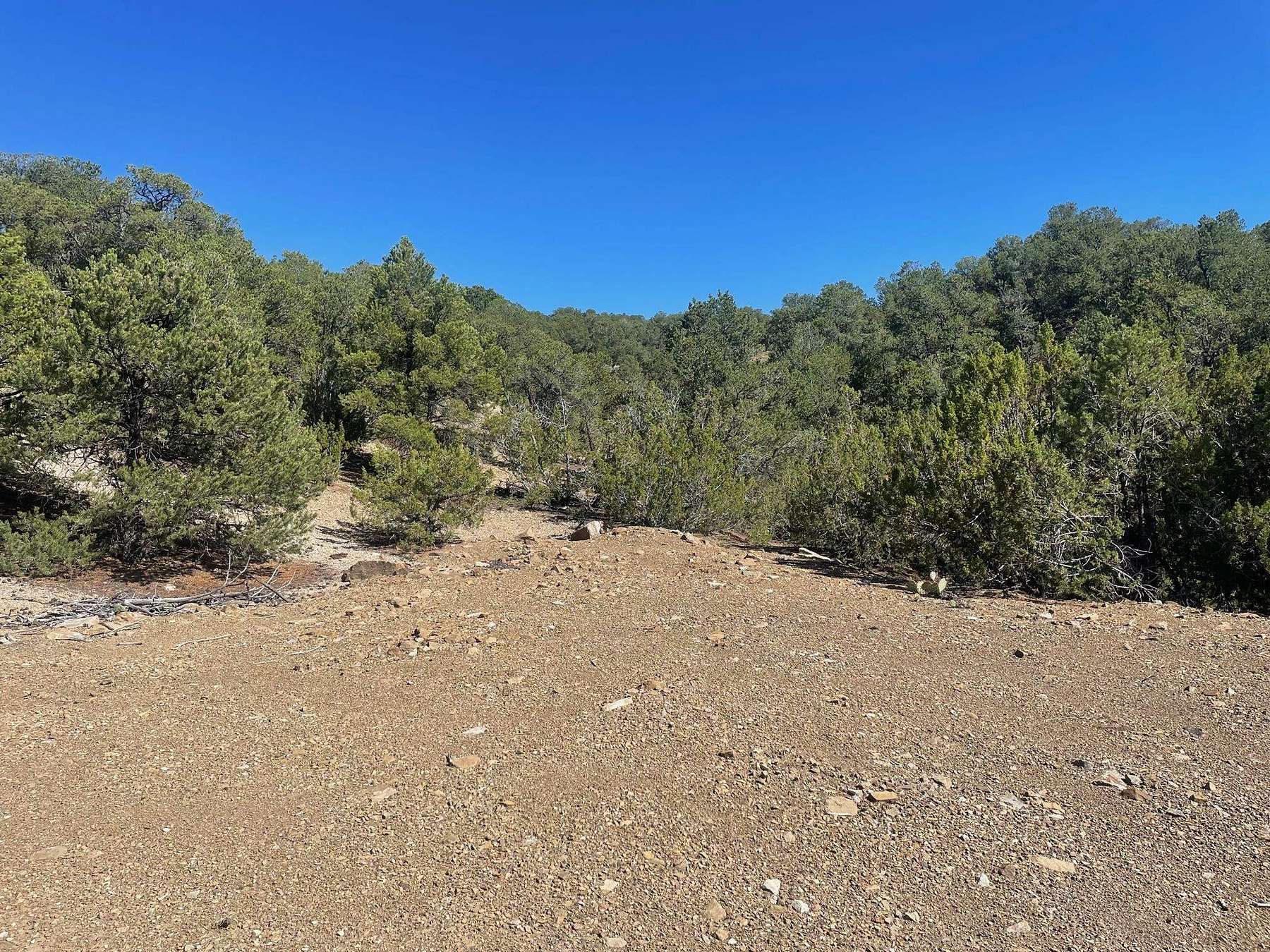 2.9 Acres of Land for Sale in Taos, New Mexico