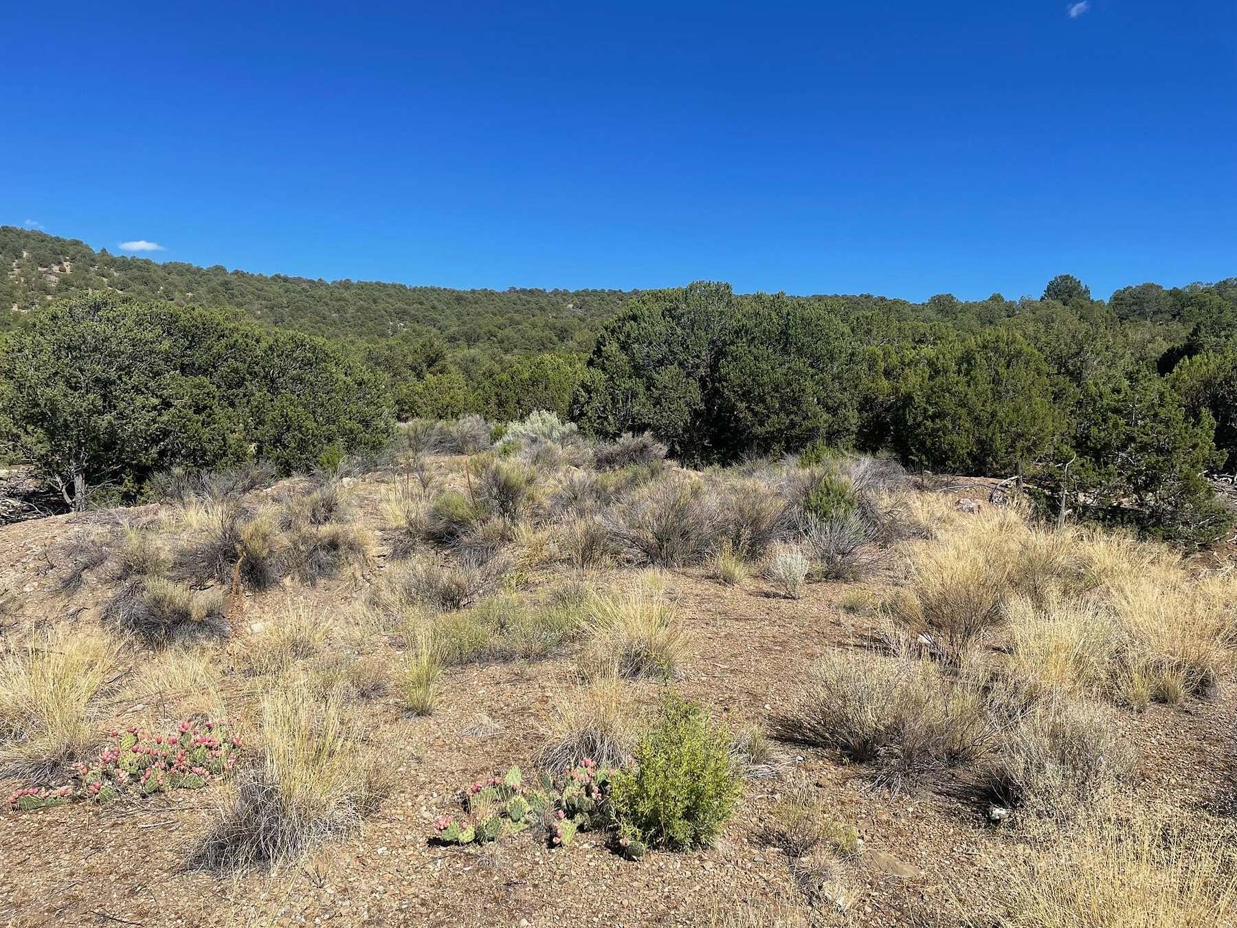 2.7 Acres of Land for Sale in Taos, New Mexico
