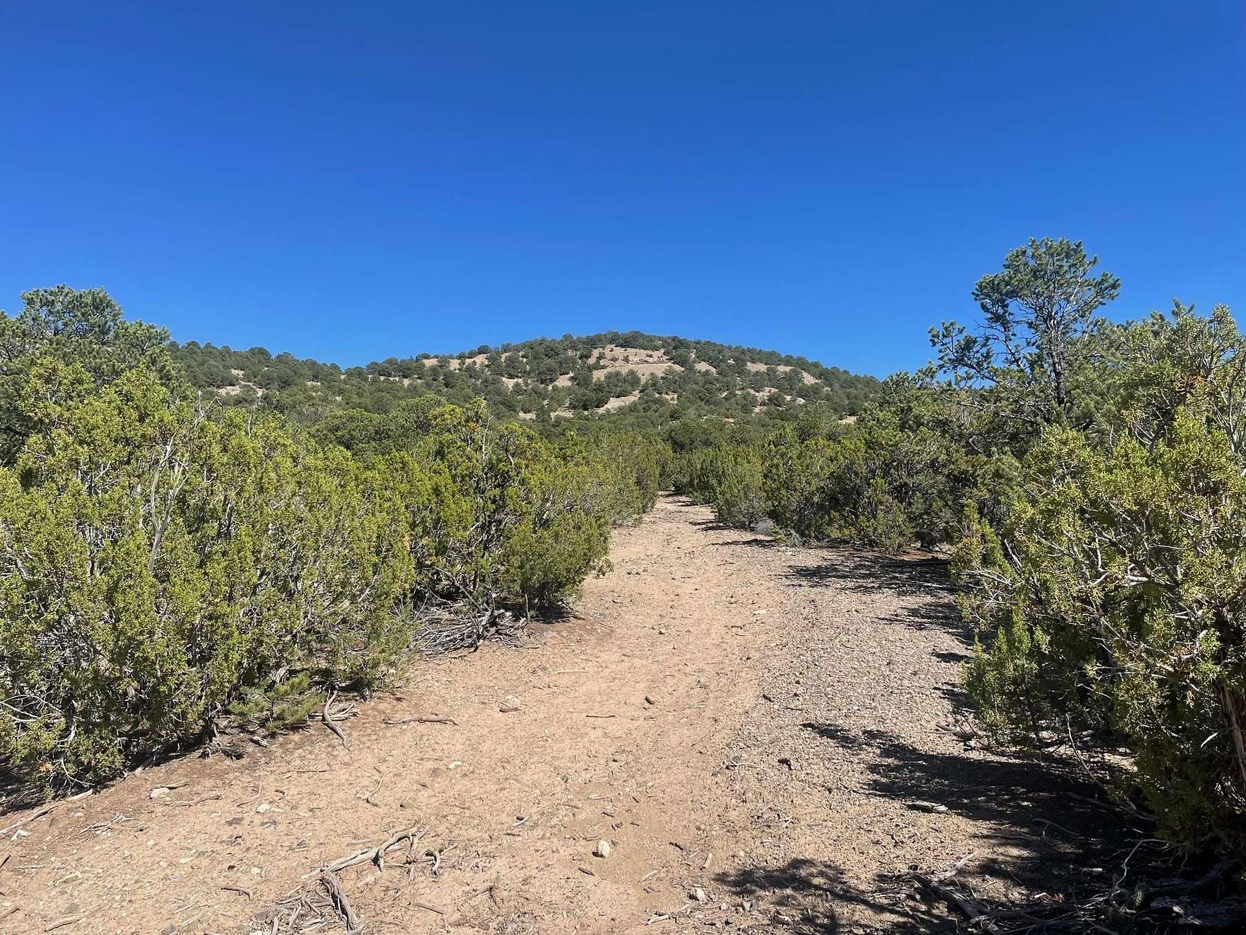 2.7 Acres of Land for Sale in Taos, New Mexico